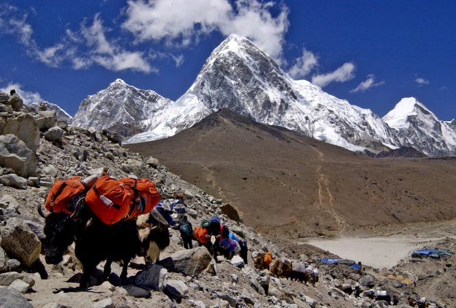 CSK_028____Pic_4-1635071361